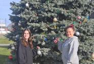 Administrative staff decorate the tree in anticipation of the lighting ceremony.